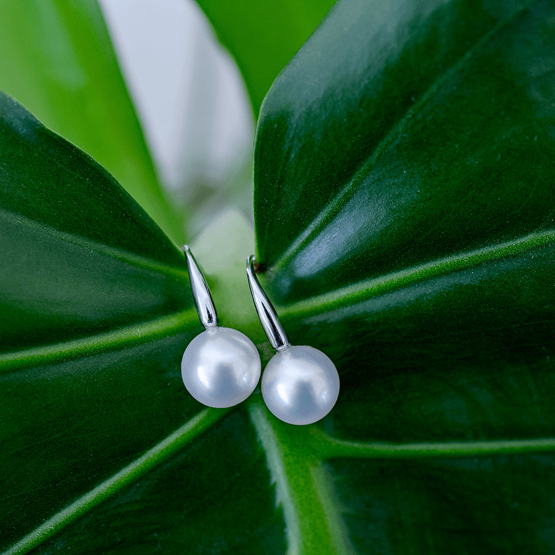 White Gold South Sea Pearl Hook Earrings